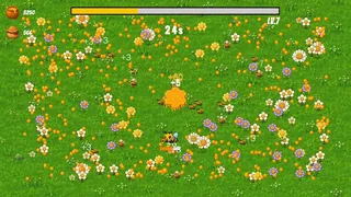 Bees Harvest