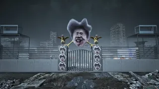 Пограничный инспектор: Птичья чума