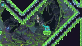 Galaxy Pilgrim