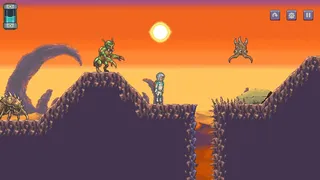 Galaxy Pilgrim