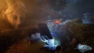 The Light that Binds Us