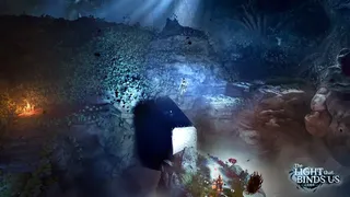 The Light that Binds Us