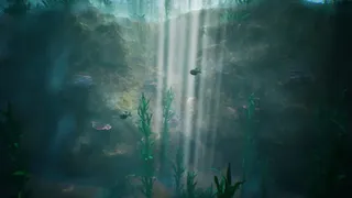 Tidepool