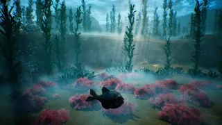 Tidepool
