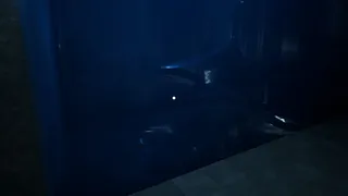 Escape the Marine Lab