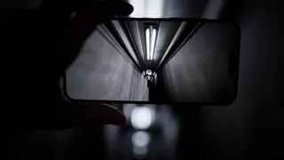 報連喪症候群