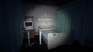 The Organ Woman | 臓器女