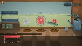 Hour Flowers