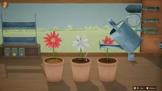 Hour Flowers