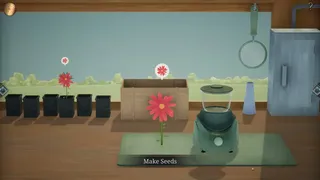 Hour Flowers