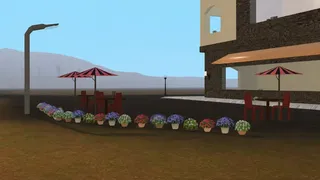 Bella Cozy Island