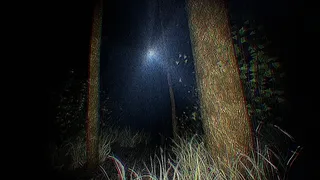 The Lost Within
