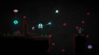 SEED
