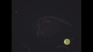 Night Hike