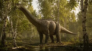 Puzzles Dino