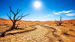 Puzzles Desert