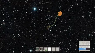 Скриншот 7 к игре Bean Base