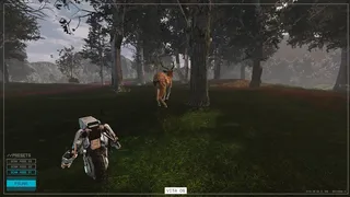 Скриншот 6 к игре VITA: Observa.Momento.Adservo.