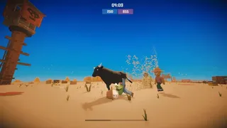 Matadors