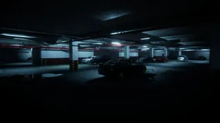 Level P
