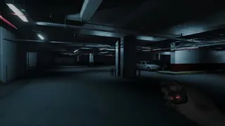 Level P