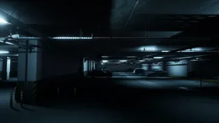 Level P