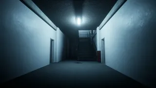 Level P