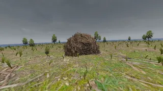 Безумные приключения Патрика