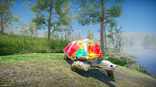 Turtles on Crocodiles