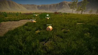 Turtles on Crocodiles