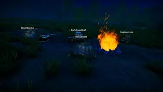 Turtles on Crocodiles