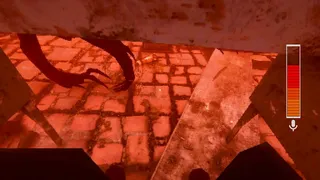 SCP-939: With Many Voices