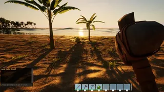 Surviving The Island