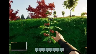 Скриншот 7 к игре Surviving The Island