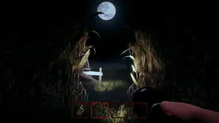 Hog Hunt