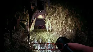 Hog Hunt