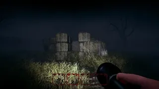Hog Hunt