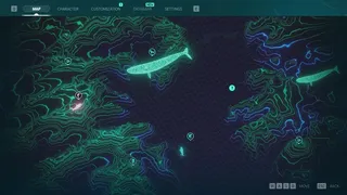 Echo: The dolphin story