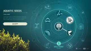 Echo: The dolphin story