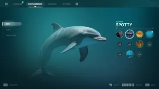 Echo: The dolphin story