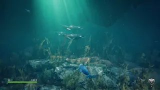 Скриншот 5 к игре Echo: The dolphin story