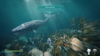 Скриншот 6 к игре Echo: The dolphin story