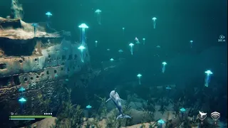 Скриншот 7 к игре Echo: The dolphin story