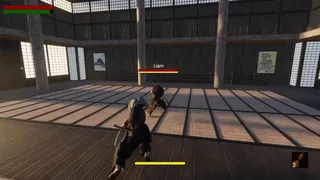 Way of the Warrior