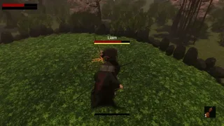 Way of the Warrior