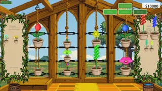 GeneBloom