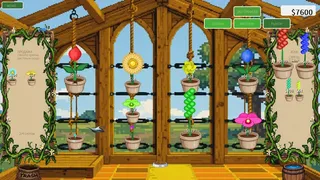 GeneBloom