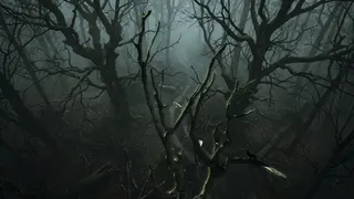 Скриншот 5 к игре The Dark Inside Me - Chapter III