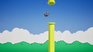 BirdPakour
