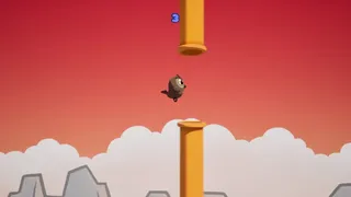 BirdPakour
